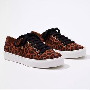 LOFT Leopard Print Lace Up Size9 Shoes